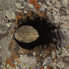 Զորաց Քարեր (Քարահունջ)